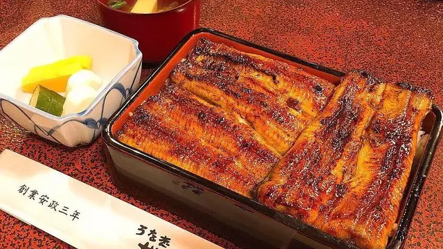 【静岡・三島】電車で日帰りデート！🚃🚅