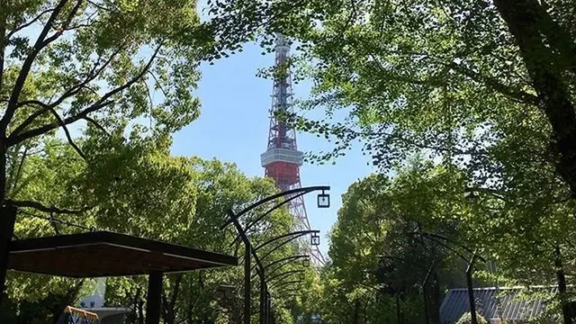 晴れたら芝公園でピクニック