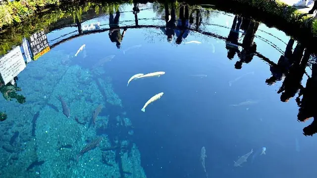 家族旅行2