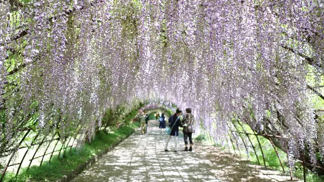 【福岡】女子大生の福岡旅行 二泊三日
