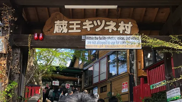 春の宮城 キツネと松島ぶらり旅