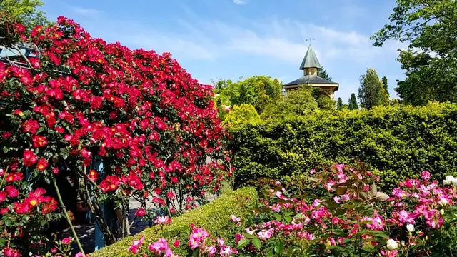 【高岡市 瑞龍寺】御朱印と花と食べ物と