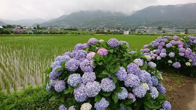 南足柄➕山北の旅