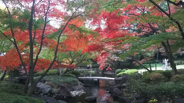 荻窪ぶらり