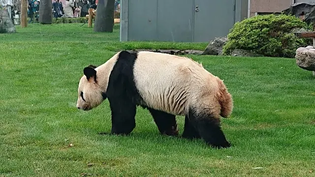 白浜一泊おいしいとこ取りの観光ツアー