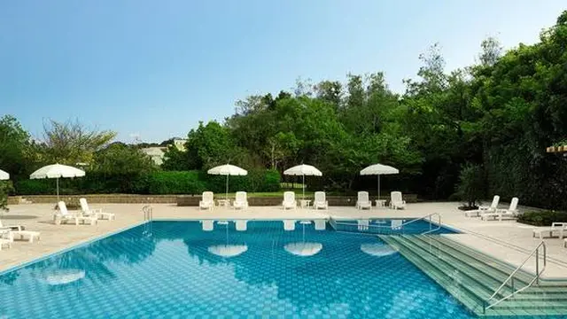 白マリマリするさぎ