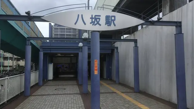 おさんぽ🚶‍♀️野火止用水