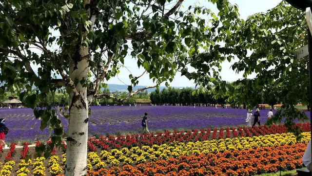 ヨクバリさんの2泊3日3都市周遊【北海道】