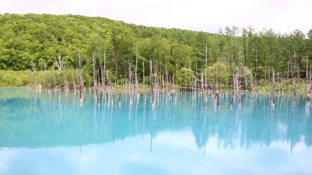 1泊2日🌲旭川旅