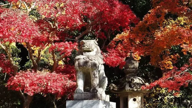 紅葉🍁香取神宮@茨城スポット🚘