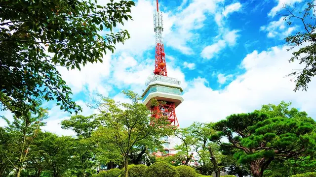 大谷資料館と宇都宮市街と餃子を、日帰りで満喫するプラン