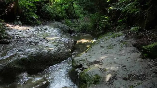 休息の横浜/川崎 プチ観光地ガイド(不定期更新)
