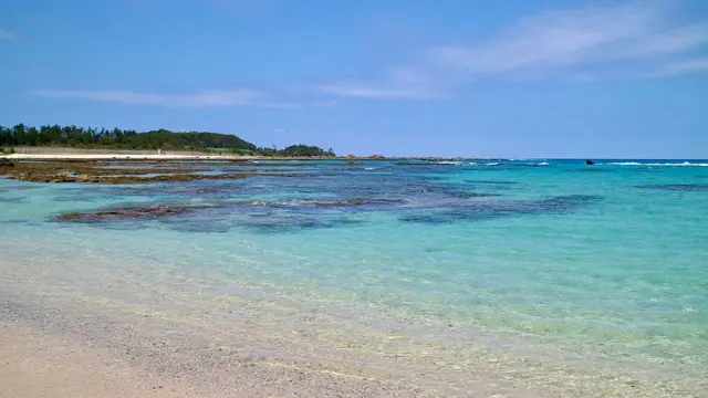 【奄美大島】女子大生の奄美大島旅行 二泊三日