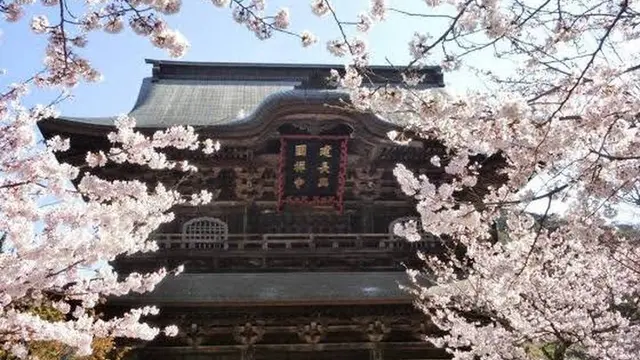 魅惑の鎌倉 寺巡りコース(不定期更新)