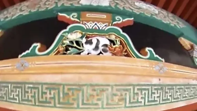 晩夏の栃木 史跡と自然と動物と