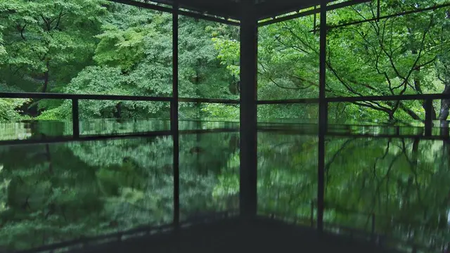 秋の京都🍁洛北ぶらり旅