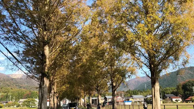 滋賀旅行2日目