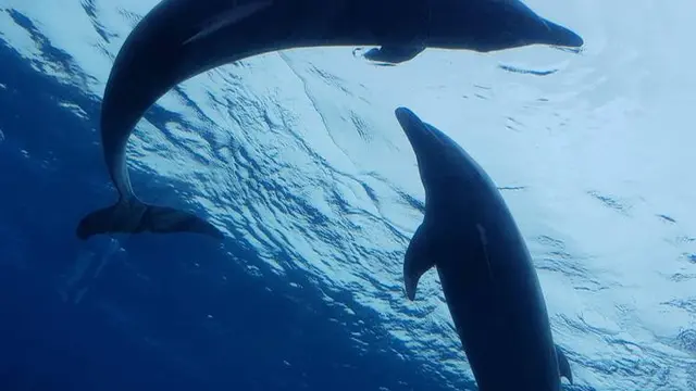 初めての👫💓👫