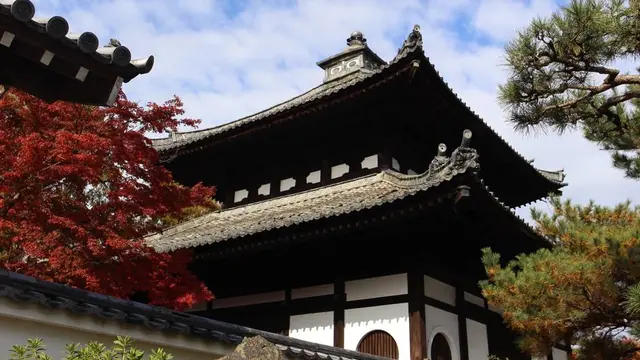 そうだ、京都へ紅葉を見に行こう🍁