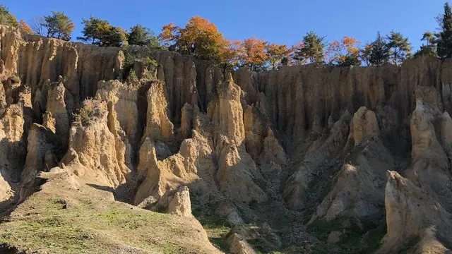 みち草しぃ②☘️子連れ遍路 阿波第4〜7番札所