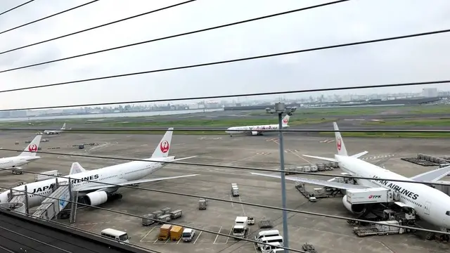 出雲ほぼ日帰り旅行🚃🚌