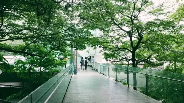週末ぶらり旅。雨の箱根と小田原散策