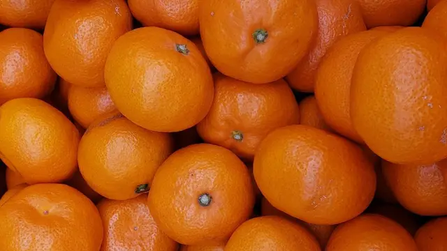 松山みかんシリーズ🍊