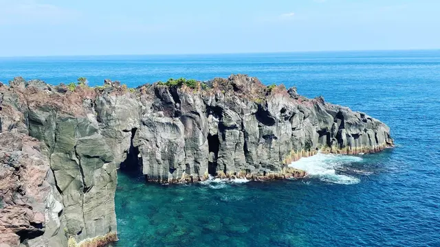 1泊2日で充実の伊豆旅