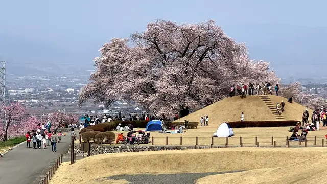 山梨&ちょっぴり長野~春旅行🌸~