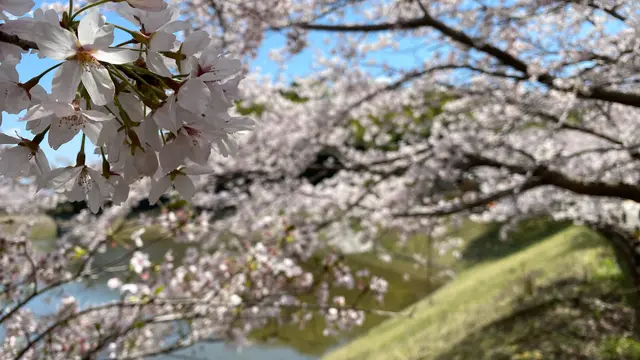 流れる季節,見つかる発見?(順次更新)