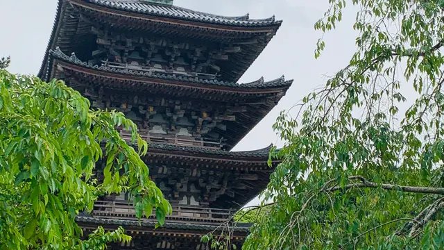 神仏巡り❁京都市東山区・伏見区(随時更新)