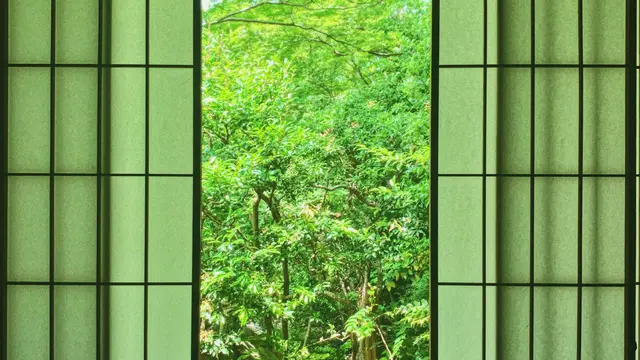 🌿 叡電で巡る 新緑の京都ひとり旅 🌿