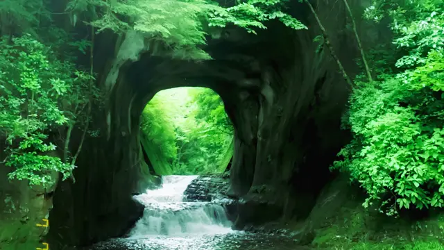 🚗 千葉  初めての内房  日帰りドライブツアー 🚗