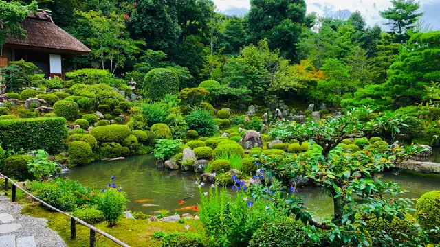 神仏巡り❁⃘京都市北区・左京区【随時更新】