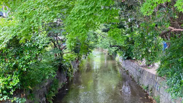 3泊4日京都の自然を堪能する一人旅☾