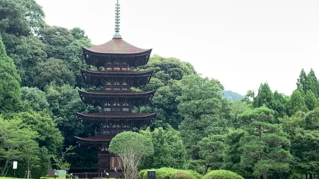 瀬戸内の旅〜山口県山口編〜