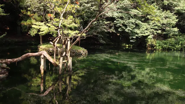足利のんびり旅