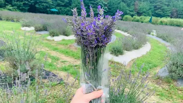 10日間ひとり旅〜庄原・芸北〜