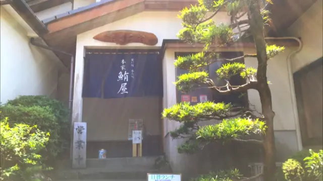 伊豆高原、伊東ひとり旅プラン