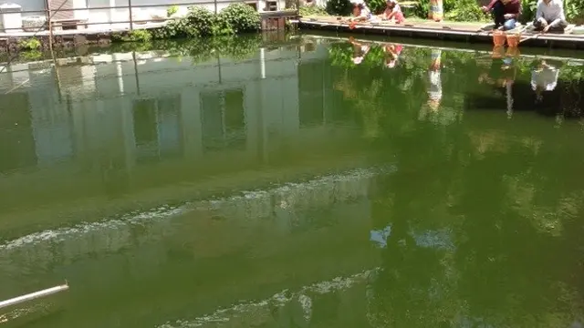 ”子供が主役”麻布十番の釣りぼり衆楽園で遊ぶ