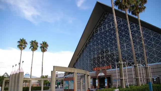 須磨は海水浴だけじゃない!須磨海浜水族園のウミガメに餌をあげよう!