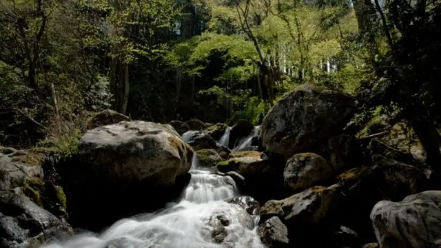 豊かな自然が残る奥多摩をサイクリング！