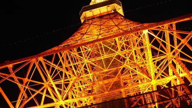 東京タワーの赤い光は恋人たちの愛を深めるらしい。