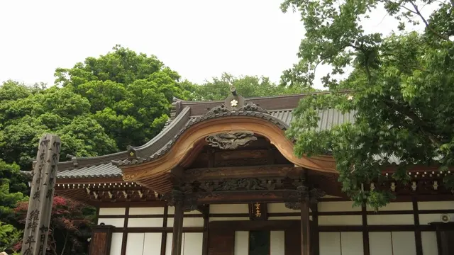 調布の王道！深大寺蕎麦と飛行機カフェ