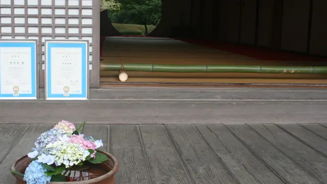 鎌倉紫陽花の名所、寺院3カ所一気巡り