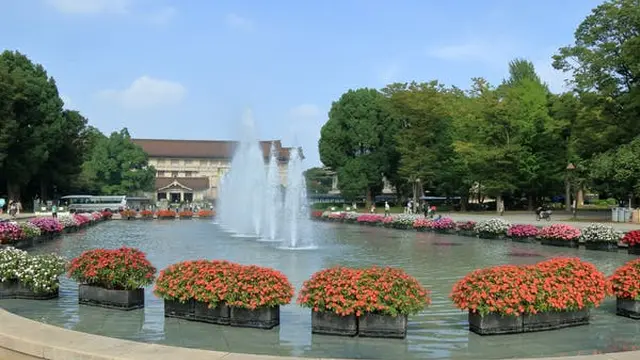 休日の散策に最適な場所