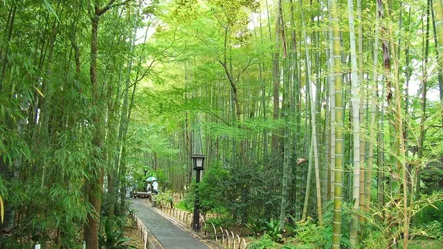 雨の修善寺 温泉街を歩く