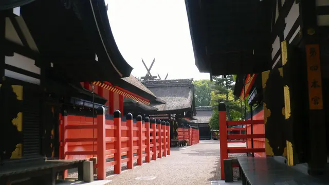 大阪【住吉大社+α】で楽しいお参りを…!