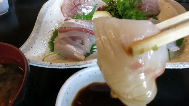 小さな半島をぐるっと一周!真鶴ウォーク!