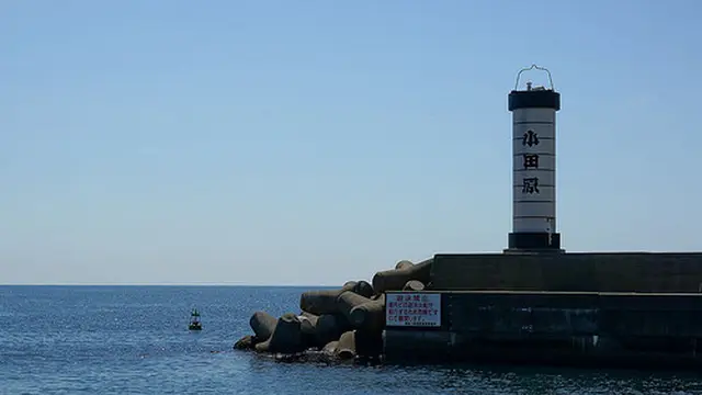 小田原漁港で美味しい魚を堪能した後は、相模湾を一望できる一夜城ヨロイヅカファームで絶品スイーツを!